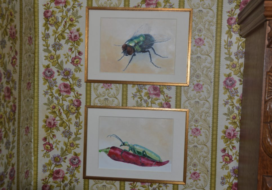 © Impressionen vergangener Ausstellungen (2019) © Impressionen vergangener Ausstellungen (2019)